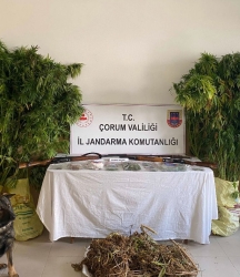 Alaca’da Jandarmadan uyuşturucu operasyonu