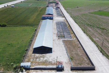 Hayvan pazarı Cumartesi  günü kapılarını açıyor