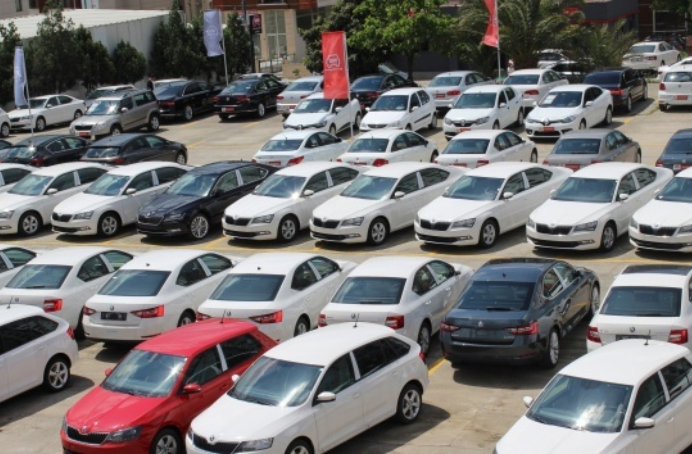 20 yaşını doldurmuş araç sahiplerine müjde