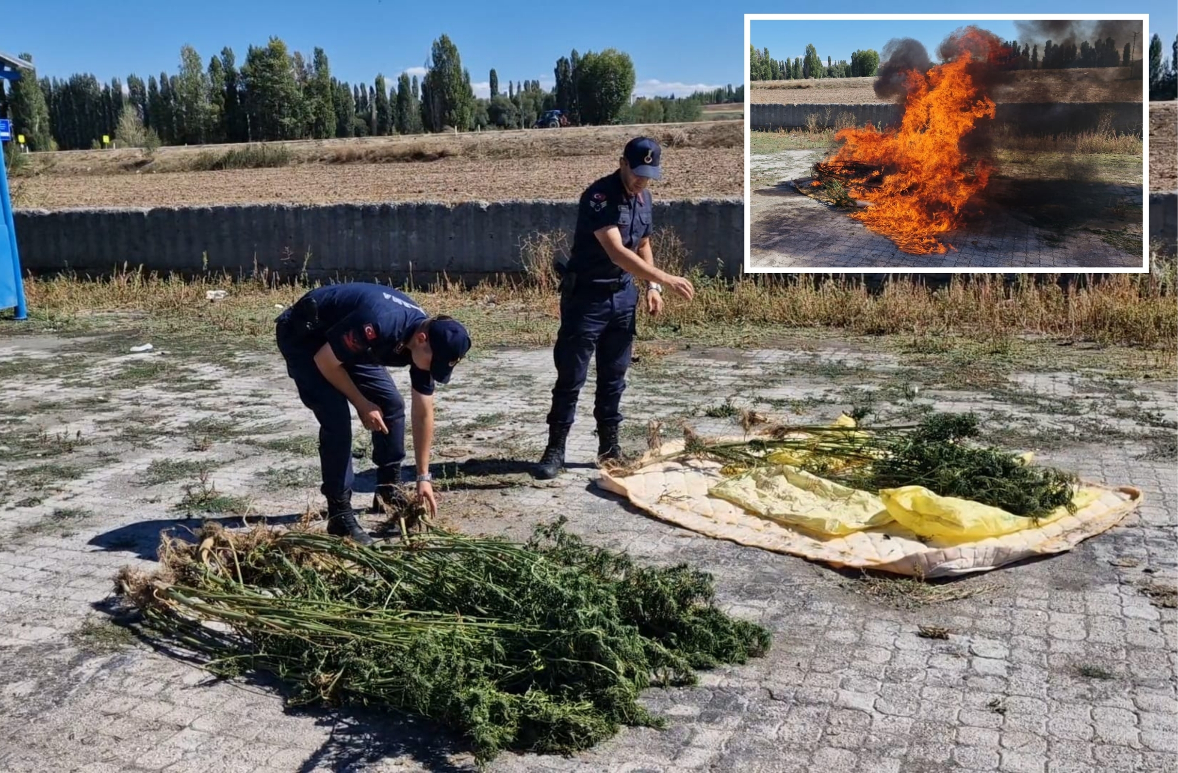 Alaca da yakalanan uyuşturucu maddeler imha edildi
