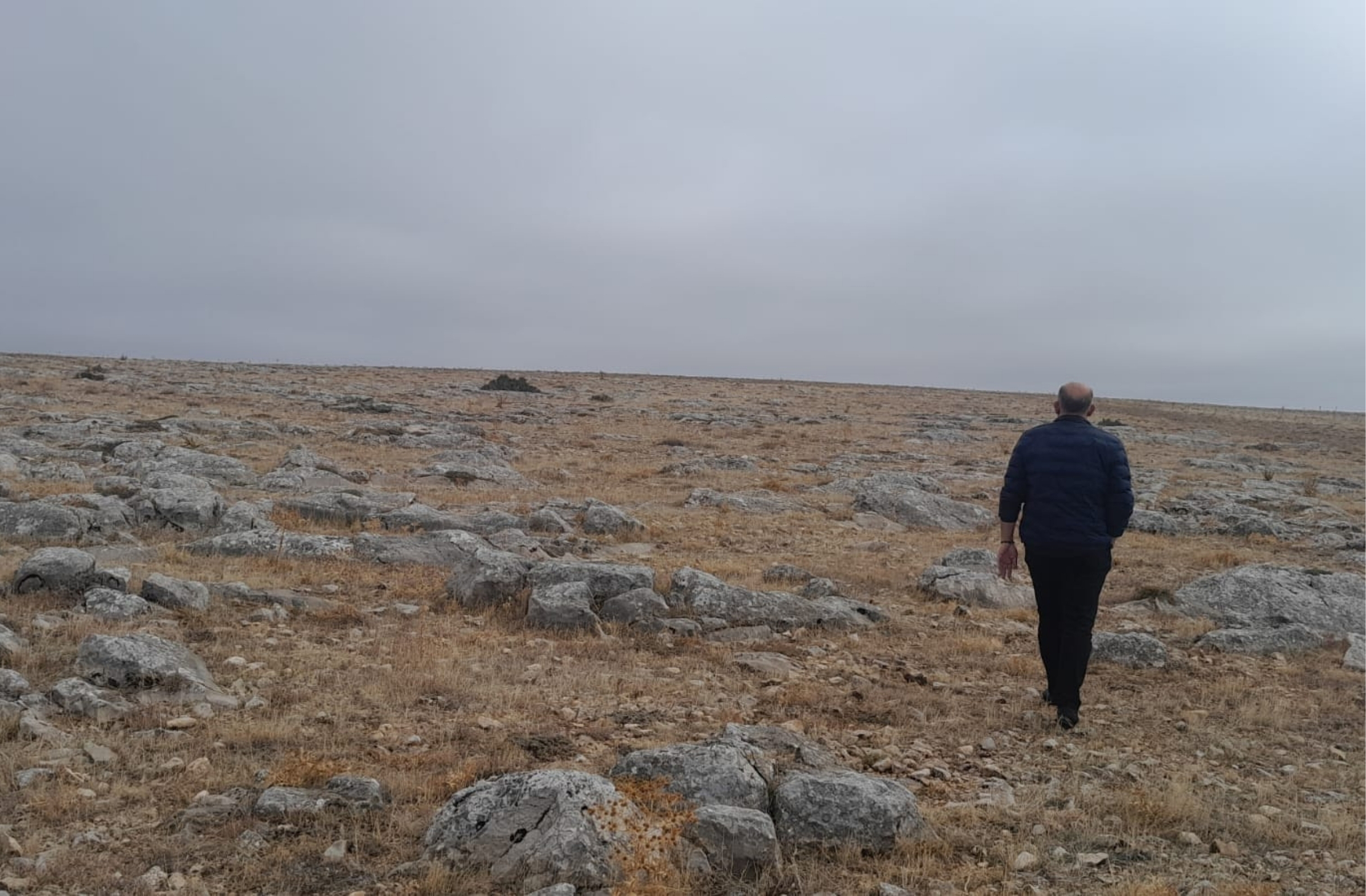 Yeni OSB'de saha incelemeleri yapıldı